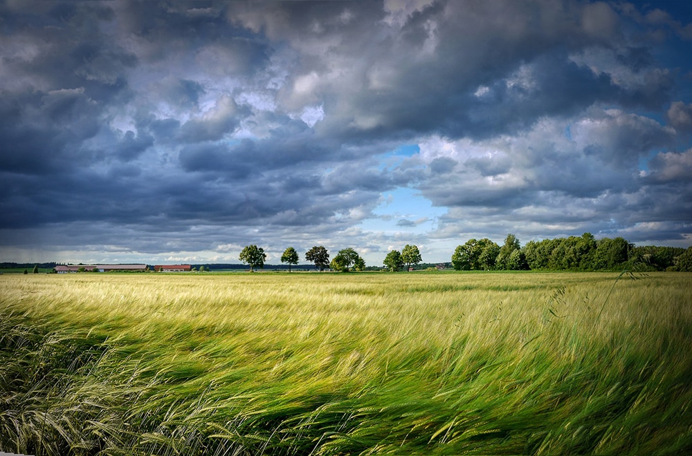 Safety Tips for Driving in High-Speed Winds